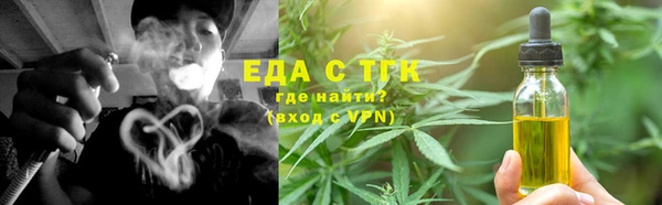 индика Нея