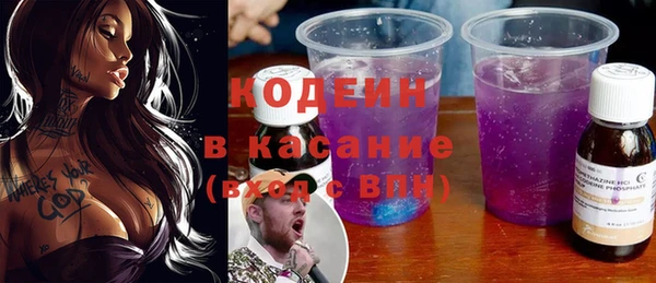 индика Нея