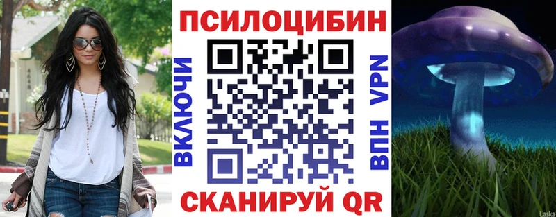 как найти   Калининград  Псилоцибиновые грибы Magic Shrooms 